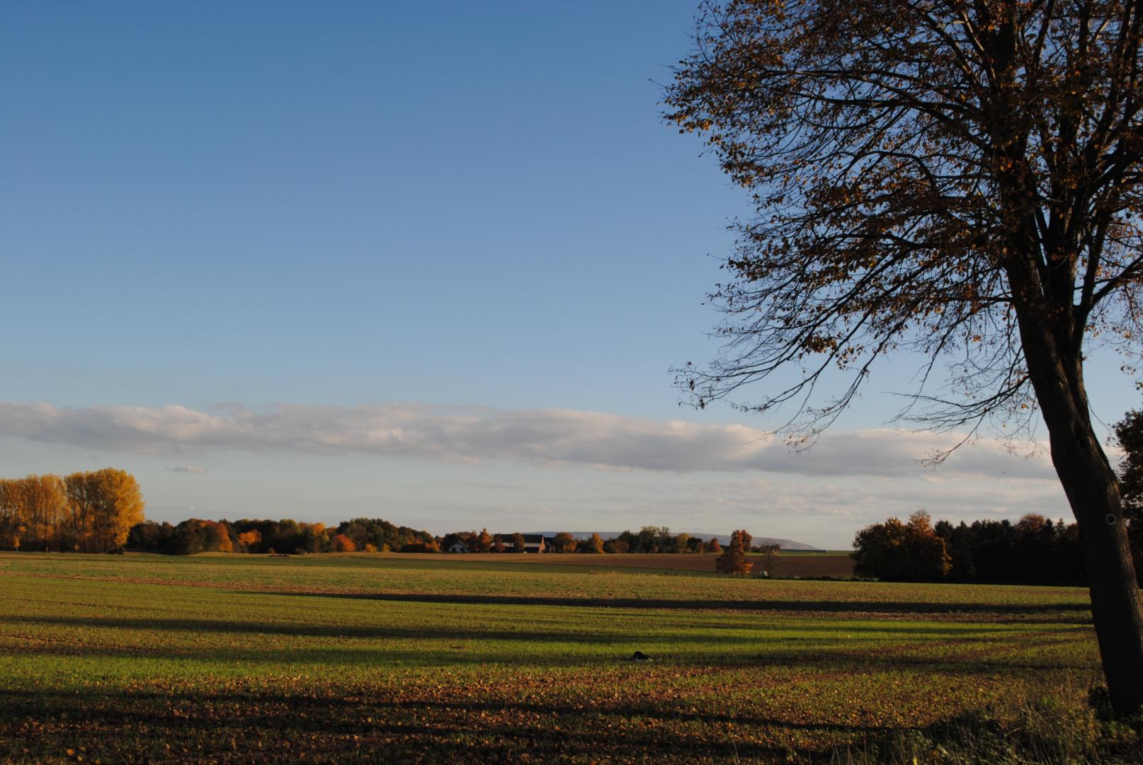 Herbst_DSC_0964