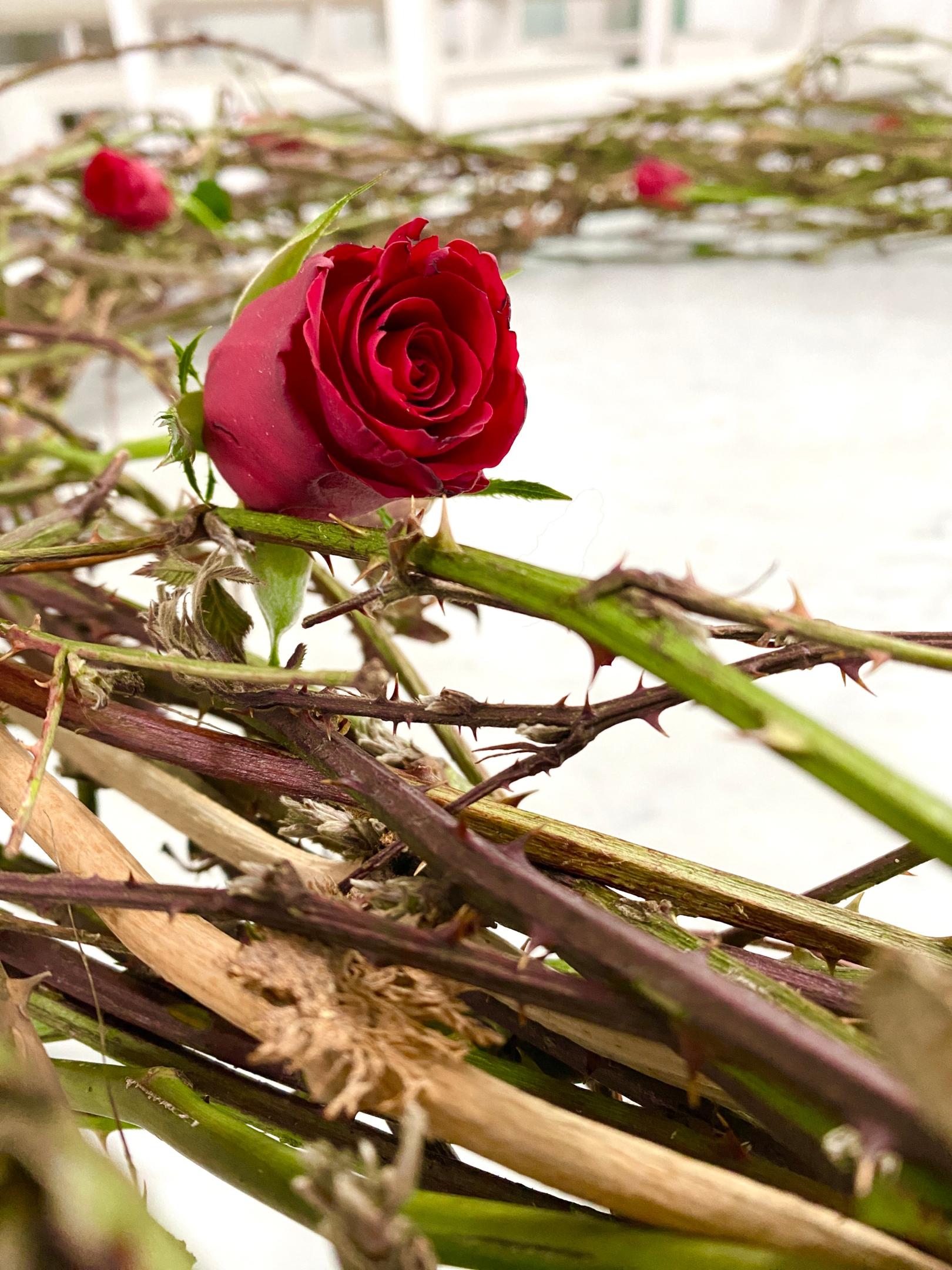 img_4791_by_Sylvio_Krueger_pfarrbriefservice