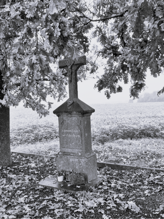 Venrath Wegzeit (c) Venrath Wegzeit S. Schwarz